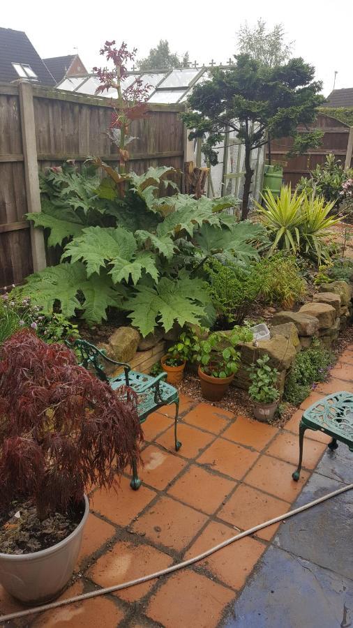 Self Contained Ground Floor Bedroom With Ensuite Wet Room Continental Breakfast Included Parking For 1 Car Outside Heanor Exteriör bild